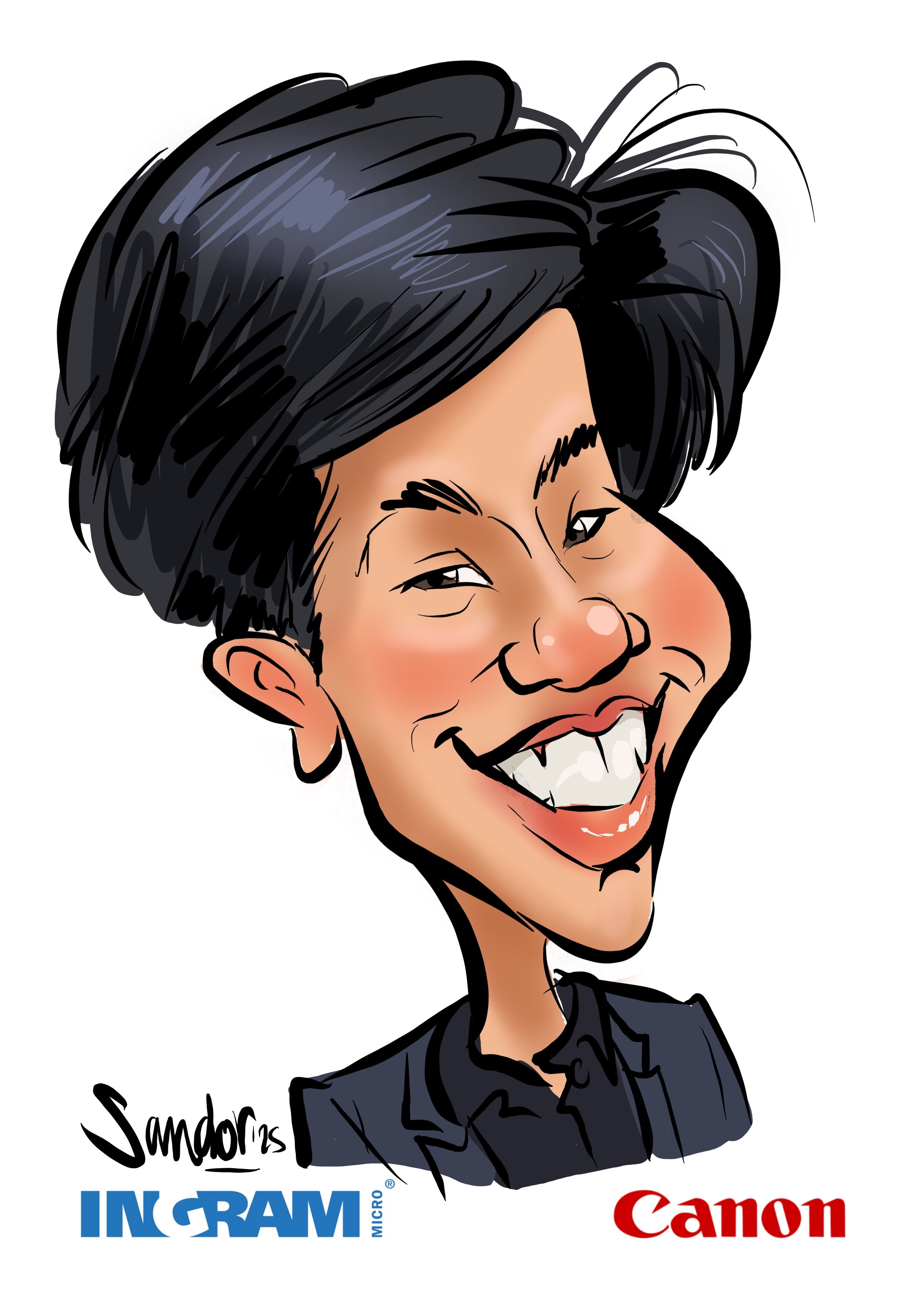 Ingram Micro-par Sandor