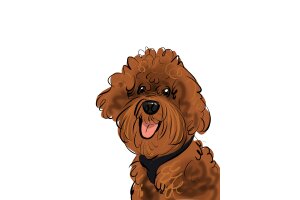 famille den Tuinder famille den Tuinder