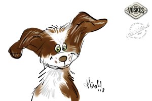 Événement animalier Voskes 3 Événement animalier Voskes 3