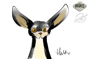 Événement animalier Voskes 3 Événement animalier Voskes 3