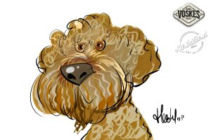 Événement animalier Voskes 3 Événement animalier Voskes 3
