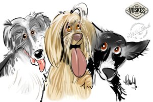 Événement animalier Voskes 3 Événement animalier Voskes 3