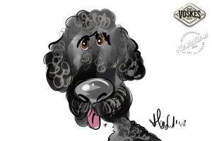 Événement animalier Voskes 3 Événement animalier Voskes 3